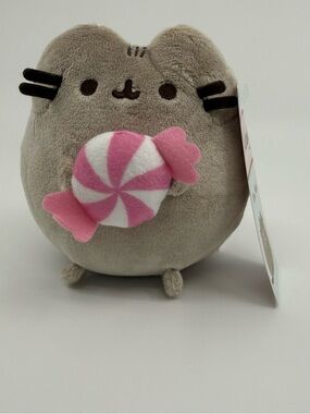Pusheen Gray Plush with Pink Candy